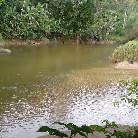 Recanto Beira Rio Sana Buitenkant foto